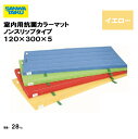 体操マット 教育用マット 体操 授業 学校 幼稚園 保育園 施設 三和体育 SANWA TAIKU 室内用抗菌カラーマットノンスリップタイプ 120×300×5...