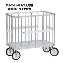 「ポイントバックキャンペーン中!」【法人限定】サンワタイイク アルミボールカゴ 大容量大型自在タイヤ仕様 学校 体育用具 スポーツ用具 三和体育 SANWA T...