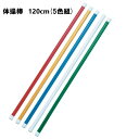 体操棒(5色組) 体操 新体操 バトン 練習 学校 幼稚園 保育園 三和体育 SANWA TAIKU S-1847