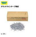 グランドラインテープ用釘 直径6×60mm 備品 学校 グラウンド用品 体育施設 三和体育 SANWA TAIKU S-2862