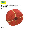 グラウンドロープ3mm×200m ロープのみ 赤 備品 学校 グラウンド用品 体育施設 三和体育 SANWA TAIKU S-2872