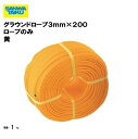 グラウンドロープ3mm×200m ロープのみ 黄 備品 学校 グラウンド用品 体育施設 三和体育 SANWA TAIKU S-2872