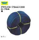 グラウンドロープ3mm×200m ロープのみ 青 備品 学校 グラウンド用品 体育施設 三和体育 SANWA TAIKU S-2874