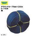 グラウンドロープ6mm×200m ロープのみ 青 備品 学校 グラウンド用品 体育施設 三和体育 SANWA TAIKU S-2879