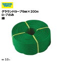 グラウンドロープ6mm×200m ロープのみ 緑 備品 学校 グラウンド用品 体育施設 三和体育 SANWA TAIKU S-2880