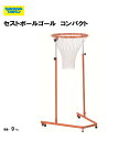 「ポイントバックキャンペーン中!」サンワタイイク セストボールゴール 2台1組 屋内外兼用 高さ 無段階 調節 リング角度調節可能 三和体育 SANWA TAIKU 学校 体育 教育施設 運動施設 スポーツ施設 S-4490