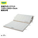 【法人限定】合成スポンジマット 120×300×5cm 帆布9号 体操 体育 学校 体育用具 教育施設 体操教室 スポーツ施設 三和体育 SANWA TAIKU...