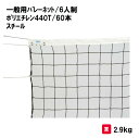 バレーボール バレー ネット 6人制 学校 施設 部活 体育用具 スポーツ用具 三和体育 SANWA TAIKU 一般バレーネット/6人制 S-3716
