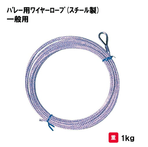 バレーボール バレー ロープ 学校 施設 体育館 部活 体育用具 スポーツ用具 三和体育 SANWA TAIKU バレー用ワイヤーロープ(スチール製) 一般用 S-3728 バレーボール バレー ロープ 学校 施設 体育館 部活 体育用具 スポーツ用具 三和体育 SANWA TAIKU バレー用ワイヤーロープ(スチール製) 一般用 S-3728