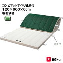 体操マット 教育用マット 体操 授業 学校 幼稚園 保育園 施設 三和体育 SANWA TAIKU コンビマットすべり止め付 120×600×6cm 帆布9号 ...