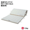 体操マット 教育用マット 体操 授業 学校 幼稚園 保育園 施設 三和体育 SANWA TAIKU 合成スポンジマット 90×180×6cm 帆布9号 S-96...