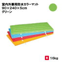 マット カラーマット 体操 学校 幼稚園 保育園 施設 授業 三和体育 SANWA TAIKU 室内外兼用防水カラーマット 90×240×5cm グリーン S-...