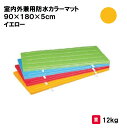 マット カラーマット 体操 学校 幼稚園 保育園 施設 授業 三和体育 SANWA TAIKU 室内外兼用防水カラーマット 90×180×5cm イエロー S-...
