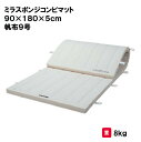 体操マット 教育用マット 体操 授業 学校 幼稚園 保育園 施設 三和体育 SANWA TAIKU ミラスポンジコンビマット 90×180×5cm 帆布9号 S...