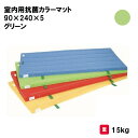 マット カラーマット 体操 学校 幼稚園 保育園 施設 授業 三和体育 SANWA TAIKU 室内用抗菌カラーマット 90×240×5 グリーン S-9851(4)