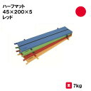 マット カラーマット 体操 学校 幼稚園 保育園 施設 授業 三和体育 SANWA TAIKU ハーフマット 45×200×5 レッド S-9880