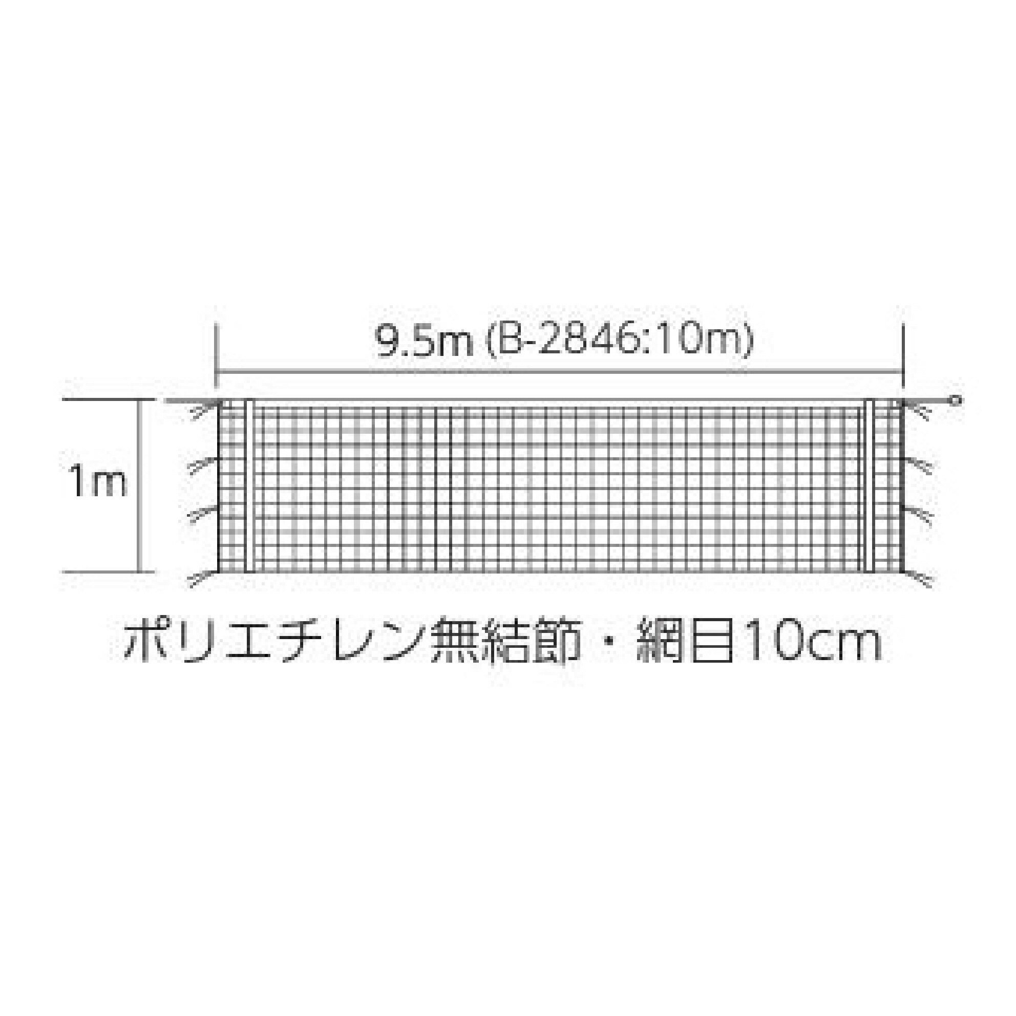 バレーネット バレー 学校 体育館 施設 部活 TOEILIGHT トーエイライト 6人制バレーボールネット 上部コーナー加工タイプ ＜新規格・上下白帯付＞ バレーボールネット B-2075 法人限定 2