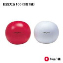 トーエイライト 紅白大玉100(2色1組) 運動会 大玉 大玉転がし イベント 学校 幼稚園 保育園 自治会 施設 TOEILIGHT B-3125 法人限定