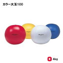 トーエイライト カラー大玉100 運動会 大玉 大玉転がし イベント 学校 幼稚園 保育園 自治会 施設 TOEILIGHT B-3275 法人限定