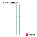 バドミントン 支柱 ツバ付 2本1組 学校 施設 部活 TOEILIGHT トーエイライト 34mm支柱 バドミントン支柱TJ34 B-3387 法人限定