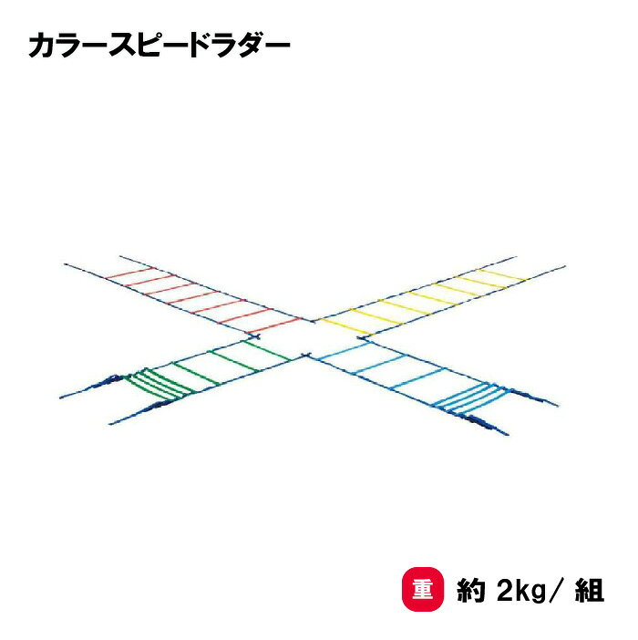 樂天商城 - トーエイライト カラースピードラダー ラダー トレーニング 基礎トレーニング ステップ 敏しょう性 方向運動 部活 練習 TOEILIGHT G-1236 法人限定