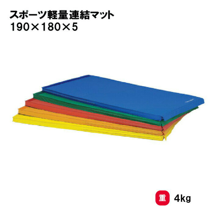 カラーマット マット 体操マット 体操 学校 幼稚園 保育園 授業 TOEILIGHT トーエイライト 抗菌 防炎 防水 軽量 連結 すべり止め スポーツ軽量連結マット 190×180×5 T-1212 法人限定