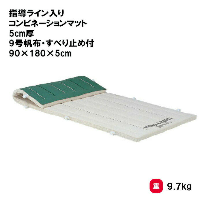 体操マット 教育マット 授業マット マット 体操 授業 学校 幼稚園 保育園 施設 TOEILIGHT トーエイライト 指導ライン入りコンビネーションマット 5cm厚 9号帆布・すべり止め付 90×180×5cm T-1330 法人限定