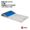 トーエイライト 合成スポンジマット 5cm厚 6号帆布・すべり止め付 120×600×5cm 体操マット 教育マット 授業マット マット 体操 授業 学校 幼稚...