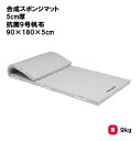 トーエイライト 合成スポンジマット 5cm厚 抗菌9号帆布 90×180×5cm 体操マット 教育マット 授業マット マット 体操 授業 学校 幼稚園 保育園 ...