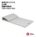 体操マット 教育マット 授業マット マット 体操 授業 学校 幼稚園 保育園 施設 TOEILIGHT トーエイライト 合成スポンジマット 5cm厚 抗菌9号帆...