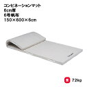 体操マット 教育マット 授業マット マット 体操 授業 学校 幼稚園 保育園 施設 TOEILIGHT トーエイライト コンビネーションマット 6cm厚 6号帆布 150×600×6cm T-1734 法人限定(4)