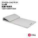 体操マット 教育マット 授業マット マット 体操 授業 学校 幼稚園 保育園 施設 TOEILIGHT トーエイライト コンビネーションマット 5cm厚 抗菌9...