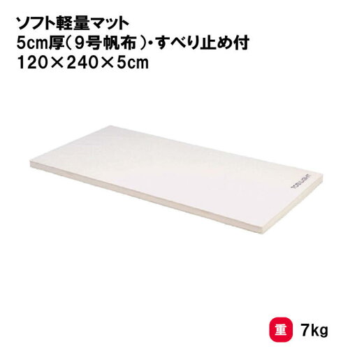 体操マット 教育マット 授業マット マット 体操 授業 学校 幼稚園 保育園 施設 TOEILIGHT トーエイライト ソフト軽量マット 5cm厚(9号帆布)・すべり止め付 120×240×5cm T-1796 法人限定 体操マット 教育マット 授業マット マット 体操 授業 学校 幼稚園 保育園 施設 TOEILIGHT トーエイライト ソフト軽量マット 5cm厚(9号帆布)・すべり止め付 120×240×5cm T-1796 法人限定