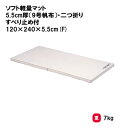 トーエイライト ソフト軽量マット 5.5cm厚(9号帆布)・二つ折り・すべり止め付 120×240×5.5cm(F) 体操マット 教育マット 授業マット マット...