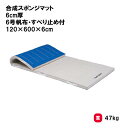 トーエイライト 合成スポンジマット 6cm厚 6号帆布・すべり止め付 120×600×6cm 体操マット 教育マット 授業マット マット 体操 授業 学校 幼稚...