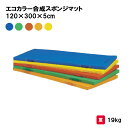 カラーマット マット 体操マット 体操 学校 幼稚園 保育園 授業 TOEILIGHT トーエイライト エコカラー合成スポンジマット 120×300×5cm T...