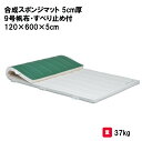 トーエイライト 合成スポンジマット 5cm厚 9号帆布・すべり止め付 120×600×5cm 体操マット 教育マット 授業マット マット 体操 授業 学校 幼稚...