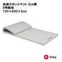 トーエイライト 合成スポンジマット 5cm厚 9号帆布 150×600×5cm 体操マット 教育マット 授業マット マット 体操 授業 学校 幼稚園 保育園 施...