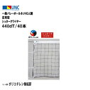 【法人限定】一般バレーボールネット6人制 従来型 シュタークワイヤー 440dT/40本 バレーボール 鵜沢ネット ウザワネット ネット 学校設備 教育施設 体...