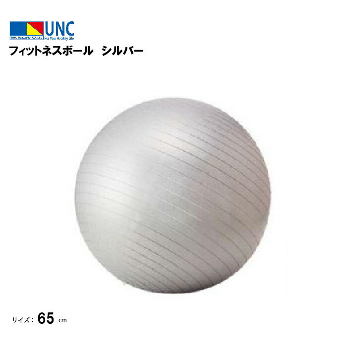 ウザワネット フィットネスボール シルバー 直径65cm 椅子 チェア デスクワーク ヨガボール 空気入れ メジャー付 子供 高齢者 運動 ヨガ ピラティス 体幹 腹筋 姿勢 骨盤矯正 筋トレ バランス ダイエット ストレッチ フィットネス 鵜沢ネット 10822 法人限定