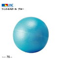 鵜沢ネット ウザワネット フィットネスボール ブルー 直径75cm 椅子 チェア デスクワーク ヨガボール 空気入れ メジャー付 子供 高齢者 運動 ヨガ ピラ...