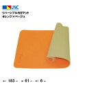 鵜沢ネット ウザワネット リバーシブルヨガマット オレンジ×ベージュト6mm 臭くない 高品質高耐久 滑らない トレーニングマット ヨガ ピラティス エクササイ...