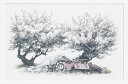【オリジナル作品】 阿部花梨 「ポストカードセット」 【KILALAFACTORY】
