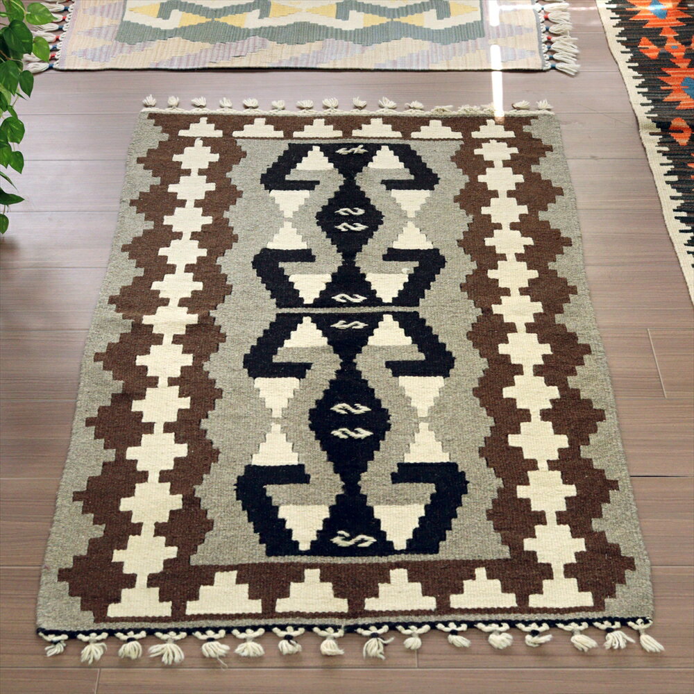 ���餫�ʿ���Υ������ꥭ���116��81cm�ʥ������Υȡ���