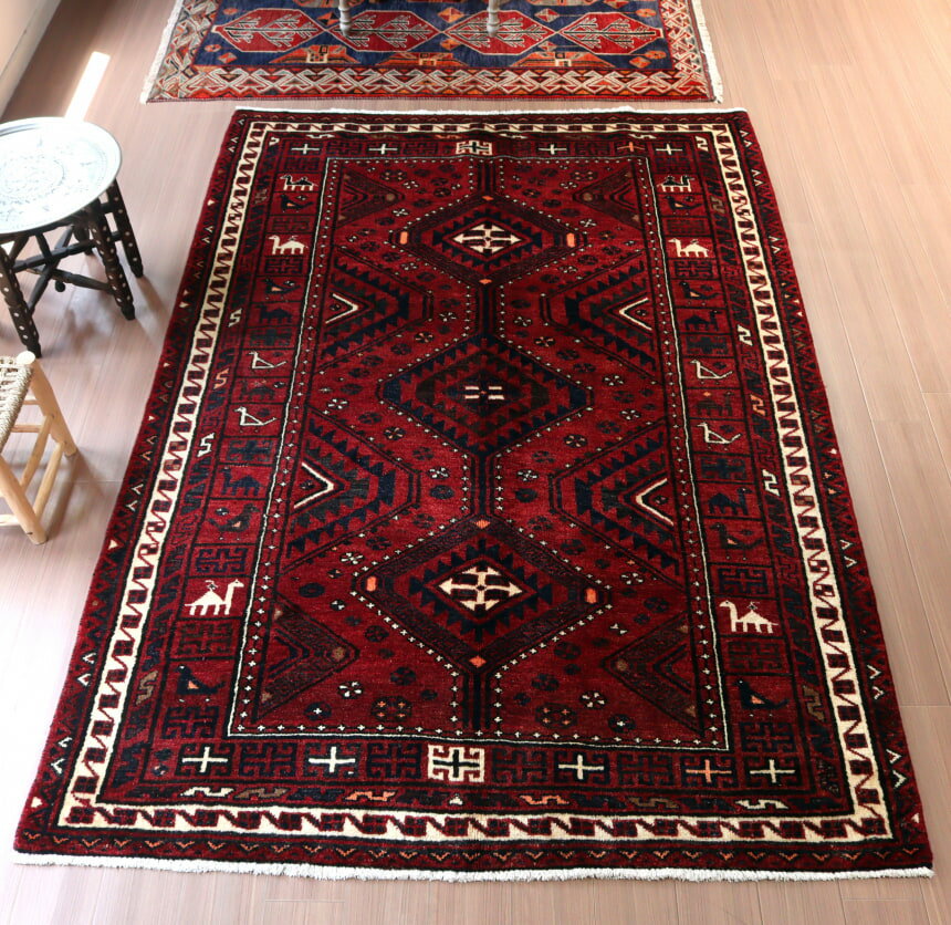 ����²�μ꿥����� 253��170cm ưʪ�ȥ���ꥪ��