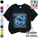 トゥントゥントゥンサフール 子供服 Tシャツ キッズ 半袖 Tung Tung Tung Sahur Tralalero Tralala トララレロ・トラララ Tシャツ 夏服 綿100% 春夏秋 シャツ トップス 通気 肌着 柔らかい 丸首 可愛い スウェット 子ども服 小学生 通園着 グッズ 女の子 男の子 服 新作