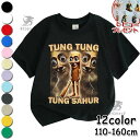トゥントゥントゥンサフール 子供服 Tシャツ キッズ 半袖 Tung Tung Tung Sahur Tralalero Tralala トララレロ・トラララ Tシャツ 夏服 綿100% 春夏秋 シャツ トップス 通気 肌着 柔らかい 丸首 可愛い スウェット 子ども服 小学生 通園着 グッズ 女の子 男の子 服 新作
