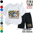 トゥントゥントゥンサフール 子供服 キッズ セットアップ ジャージ 上下セット 半袖 子供 Tung Tung Tung Sahur Tralalero Tralala トララレロ・トラララ Tシャツ パンツ パジャマ 綿100% 夏物 シャツ 女の子 男の子 可愛い ゆったり スウェット 通園着 誕生日 プレゼント