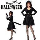【期間限定★300円クーポン】 黒猫 コスプレ ネコ 猫 仮装 レディース ハロウィン衣装 大人用 動物 コスプレ キャラクター コスチューム 2点セット セク...