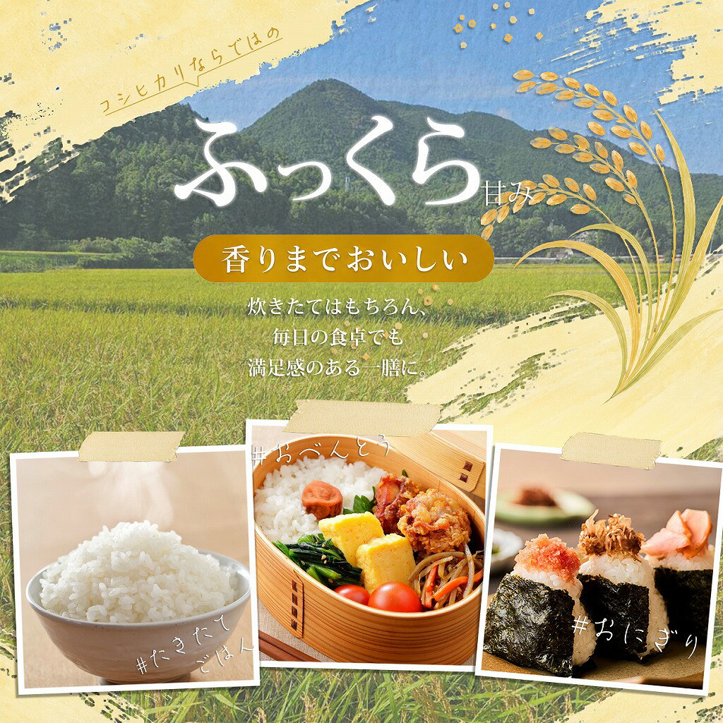 【 コシヒカリ2合お試しパック 三重県度会町産 】 無農薬 コシヒカリ 有機栽培 三重県産 2合 お米 高級 新米 kimai-10000003 特別なお米 氣米 楽天市場店 サンプル画像2